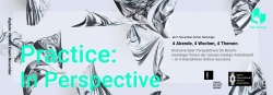 VDIDlab: Practice in Perspective